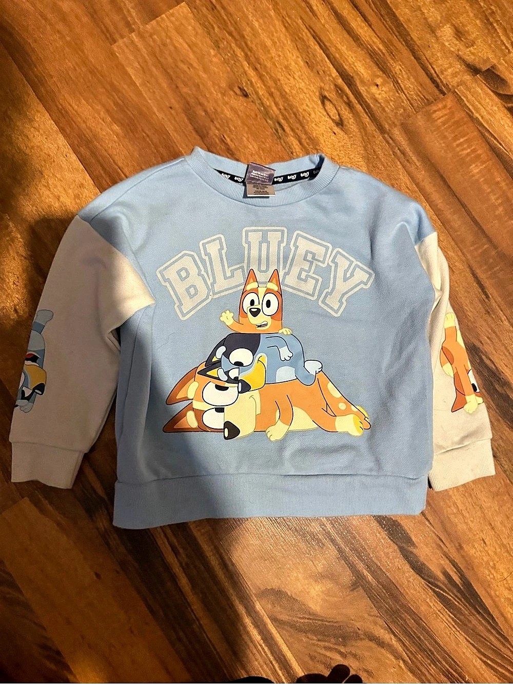 Bluey Stacked Characters Graphic Crewneck Sweatshirt Blue Graphic Sweatshirt